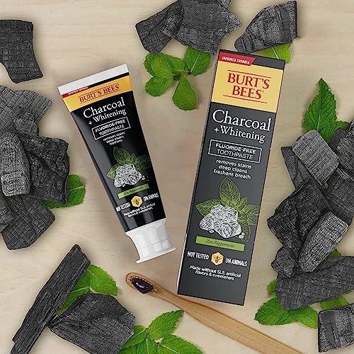 Burt’s Bees Toothpaste, Natural Flavor, Charcoal with Fluoride Toothpaste, Mountain Mint, 3 x 4.7oz