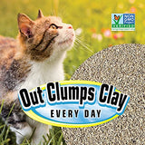 SmartCat All Natural Clumping Cat Litter, 20 Pound (320oz 1 pack) - Alternative to Clay and Pellet Litter - Chemical and 99% Dust Free - Unscented and Lightweight