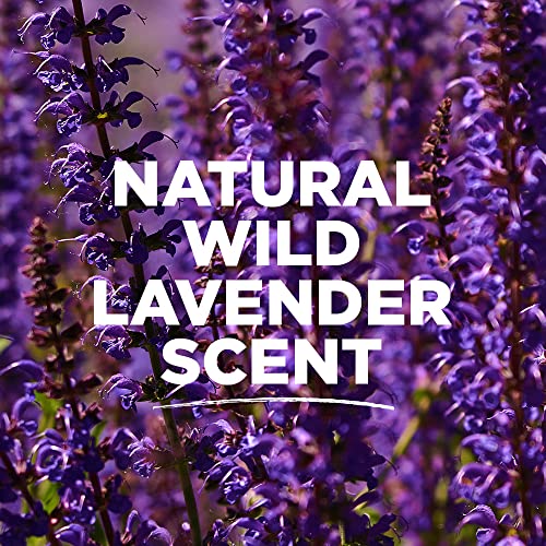 Tom's of Maine Long-Lasting Aluminum-Free Natural Deodorant for Women, Wild Lavender, 2.25 oz. 3-Pack