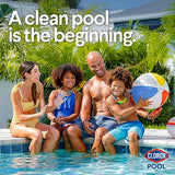 Clorox Pool&Spa Shock XtraBlue2 (12 1-lb Bags)