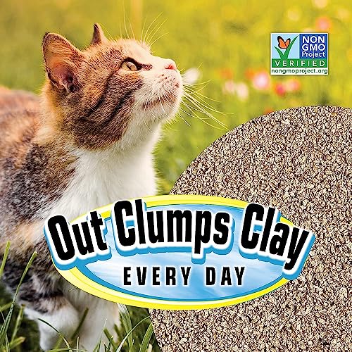 SmartCat All Natural Clumping Cat Litter, 20 Pound (320oz 1 pack) - Alternative to Clay and Pellet Litter - Chemical and 99% Dust Free - Unscented and Lightweight