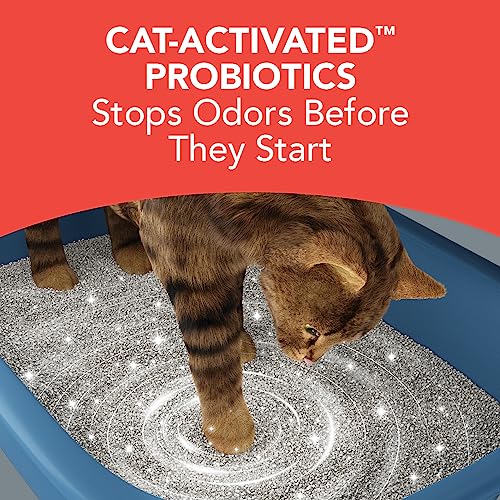 Boxiecat Premium Clumping Clay Cat Litter, Extra Strength Formula, 40lbs - Cat Activated Probiotics- Longer Lasting Odor Control- Hard, Non Stick Clumps - Stays Ultra Clean - 99.9% Dust Free