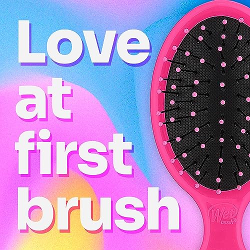 Wet Brush Detangling Brush, Mini Detangler Brush (Pink) - Wet & Dry Tangle-Free Hair Brush for Women & Men - No Tangle Soft & Flexible Bristles for Straight, Curly, & Thick Hair